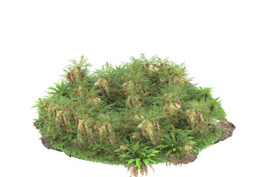 Arka planda izole tropikal orman. 3d görüntüleme - illüstrasyon