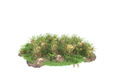 Arka planda izole tropikal orman. 3d görüntüleme - illüstrasyon