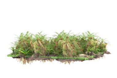 Arka planda izole tropikal orman. 3d görüntüleme - illüstrasyon