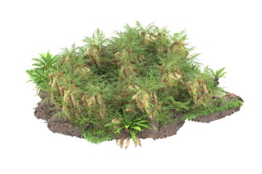 Arka planda izole tropikal orman. 3d görüntüleme - illüstrasyon