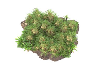 Arka planda izole tropikal orman. 3d görüntüleme - illüstrasyon