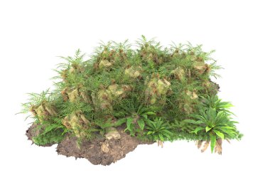 Arka planda izole tropikal orman. 3d görüntüleme - illüstrasyon