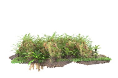 Arka planda izole tropikal orman. 3d görüntüleme - illüstrasyon