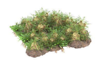 Arka planda izole tropikal orman. 3d görüntüleme - illüstrasyon