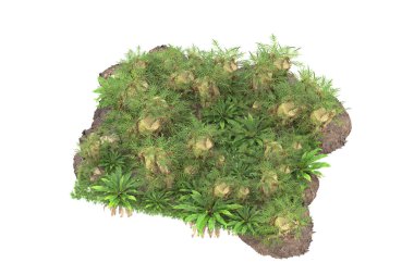 Arka planda izole tropikal orman. 3d görüntüleme - illüstrasyon