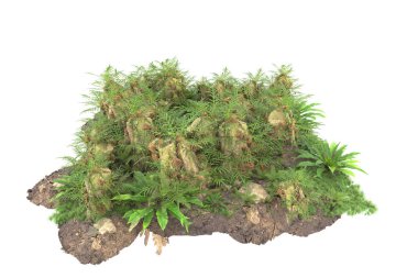 Arka planda izole tropikal orman. 3d görüntüleme - illüstrasyon
