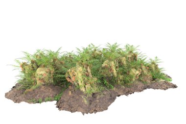 Arka planda izole tropikal orman. 3d görüntüleme - illüstrasyon