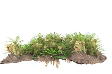 Arka planda izole tropikal orman. 3d görüntüleme - illüstrasyon