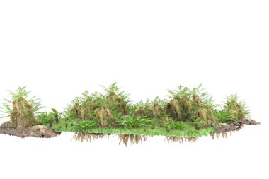 Arka planda izole tropikal orman. 3d görüntüleme - illüstrasyon