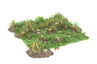 Arka planda izole tropikal orman. 3d görüntüleme - illüstrasyon