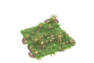 Arka planda izole tropikal orman. 3d görüntüleme - illüstrasyon