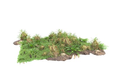 Arka planda izole tropikal orman. 3d görüntüleme - illüstrasyon