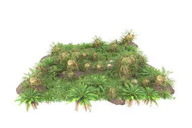 Arka planda izole tropikal orman. 3d görüntüleme - illüstrasyon