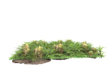 Arka planda izole tropikal orman. 3d görüntüleme - illüstrasyon