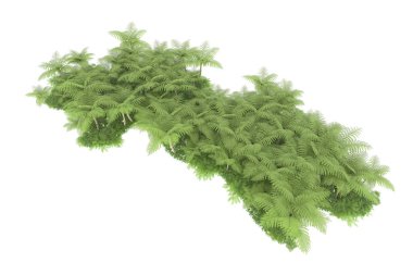 Arka planda izole tropikal orman. 3d görüntüleme - illüstrasyon