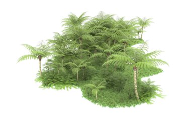 Arka planda izole tropikal orman. 3d görüntüleme - illüstrasyon
