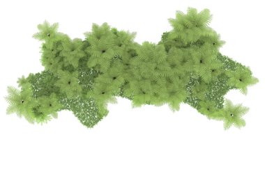 Arka planda izole tropikal orman. 3d görüntüleme - illüstrasyon