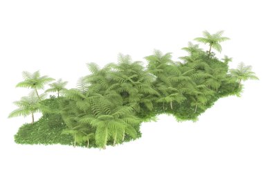 Arka planda izole tropikal orman. 3d görüntüleme - illüstrasyon