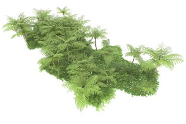 Arka planda izole tropikal orman. 3d görüntüleme - illüstrasyon