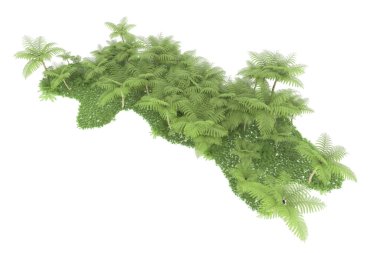 Arka planda izole tropikal orman. 3d görüntüleme - illüstrasyon