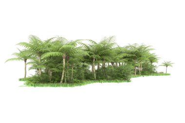 Arka planda izole tropikal orman. 3d görüntüleme - illüstrasyon