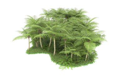 Arka planda izole tropikal orman. 3d görüntüleme - illüstrasyon