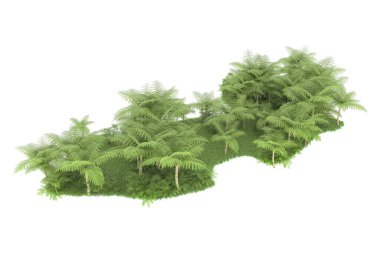 Arka planda izole tropikal orman. 3d görüntüleme - illüstrasyon