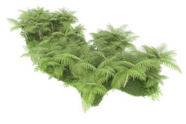 Arka planda izole tropikal orman. 3d görüntüleme - illüstrasyon