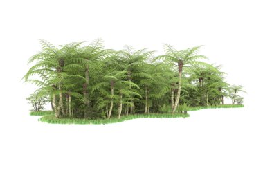 Arka planda izole tropikal orman. 3d görüntüleme - illüstrasyon