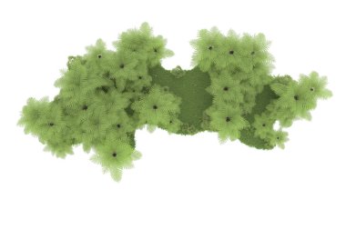 Arka planda izole tropikal orman. 3d görüntüleme - illüstrasyon