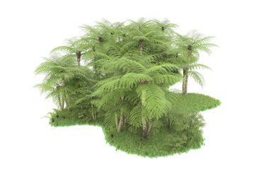 Doğal bitki örtüsü kavramı, gerçekçi palmiye ağaçları kopya alanı için beyaz arkaplanda izole edilmiş