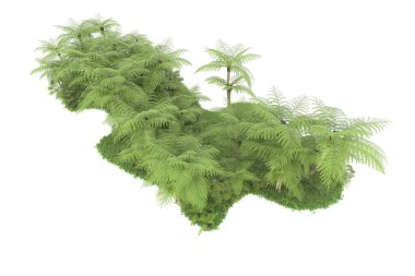 Doğal bitki örtüsü kavramı, gerçekçi palmiye ağaçları kopya alanı için beyaz arkaplanda izole edilmiş