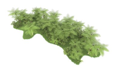 Doğal bitki örtüsü kavramı, gerçekçi palmiye ağaçları kopya alanı için beyaz arkaplanda izole edilmiş