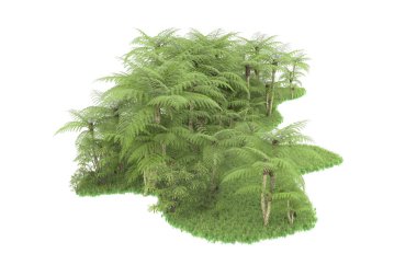 Doğal bitki örtüsü kavramı, gerçekçi palmiye ağaçları kopya alanı için beyaz arkaplanda izole edilmiş