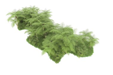 Doğal bitki örtüsü kavramı, gerçekçi palmiye ağaçları kopya alanı için beyaz arkaplanda izole edilmiş