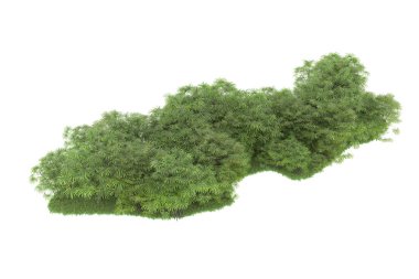 Doğal bitki örtüsü kavramı, gerçekçi palmiye ağaçları kopya alanı için beyaz arkaplanda izole edilmiş