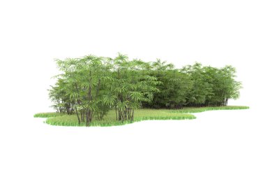 Doğal bitki örtüsü kavramı, gerçekçi palmiye ağaçları kopya alanı için beyaz arkaplanda izole edilmiş