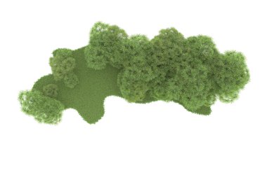 Doğal bitki örtüsü kavramı, gerçekçi palmiye ağaçları kopya alanı için beyaz arkaplanda izole edilmiş