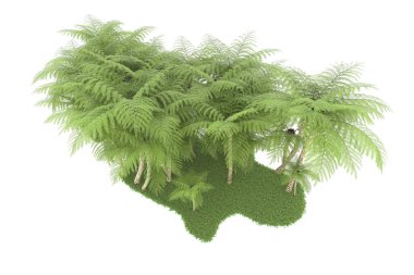 Doğal bitki örtüsü kavramı, gerçekçi palmiye ağaçları kopya alanı için beyaz arkaplanda izole edilmiş