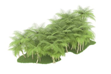 Doğal bitki örtüsü kavramı, gerçekçi palmiye ağaçları kopya alanı için beyaz arkaplanda izole edilmiş