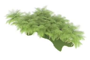 Doğal bitki örtüsü kavramı, gerçekçi palmiye ağaçları kopya alanı için beyaz arkaplanda izole edilmiş