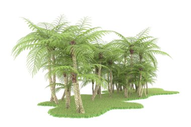 Doğal bitki örtüsü kavramı, gerçekçi palmiye ağaçları kopya alanı için beyaz arkaplanda izole edilmiş