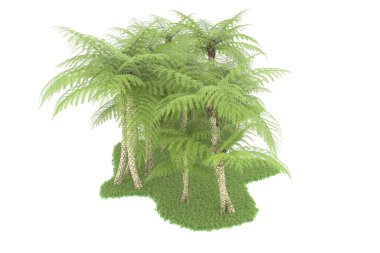 Doğal bitki örtüsü kavramı, gerçekçi palmiye ağaçları kopya alanı için beyaz arkaplanda izole edilmiş