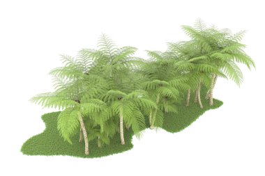 Beyaz arka planda izole edilmiş palmiye ağaçları adası. 3d görüntüleme - illüstrasyon