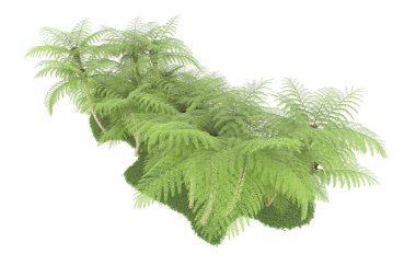 Beyaz arka planda izole edilmiş palmiye ağaçları adası. 3d görüntüleme - illüstrasyon