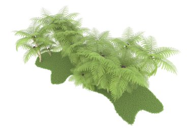 Beyaz arka planda izole edilmiş palmiye ağaçları adası. 3d görüntüleme - illüstrasyon