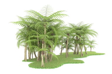 Beyaz arka planda izole edilmiş palmiye ağaçları adası. 3d görüntüleme - illüstrasyon