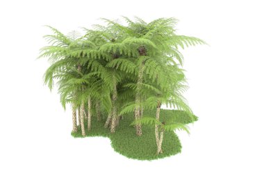 Beyaz arka planda izole edilmiş palmiye ağaçları adası. 3d görüntüleme - illüstrasyon