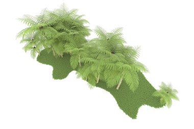 Doğal bitki örtüsü kavramı, gerçekçi palmiye ağaçları kopya alanı için beyaz arkaplanda izole edilmiş