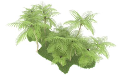 Beyaz arka planda izole edilmiş palmiye ağaçları adası. 3d görüntüleme - illüstrasyon